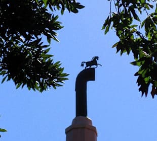 Quinta Vigia, Kleinod in Funchal