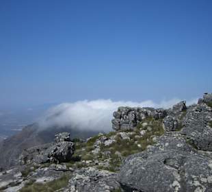 The Top of the Rock!