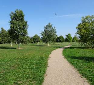 Der sommerliche Baumpark Thedinghausen