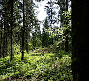 Wandern Kitzelberg St. Kanzian