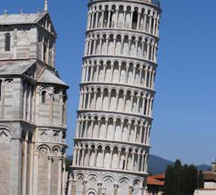 Pisa