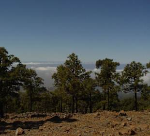 Auf dem Weg zum  Teide
