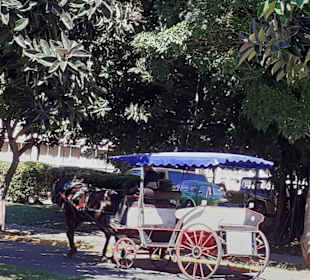 Stadtrundgang Varadero