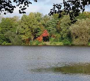 Rundgang um den Drielaker See