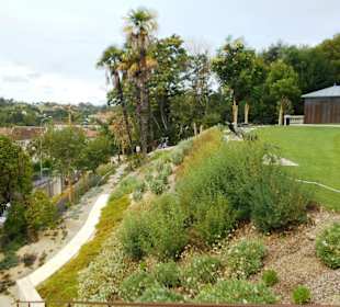 Jérôme Cuzin Centre