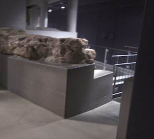 Historisches Museum Saar
