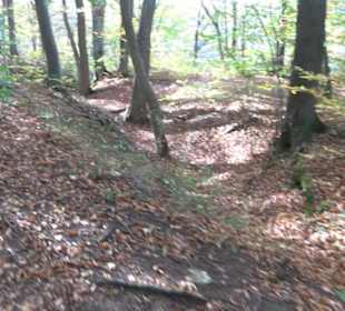 Höllenlöcher Hohenneuffen