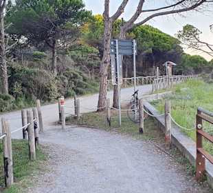 Vorne der frühere alte Weg