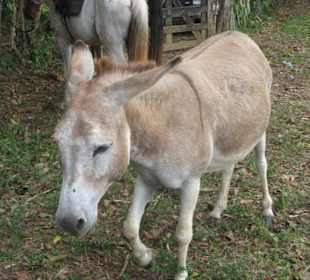 Ich gehöre auch dazu