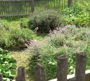 Freilichtmuseum Beuren