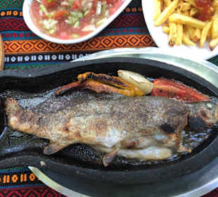 Frisch gegrillte Forelle