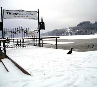 Der Titisee im Winter 2003/2004