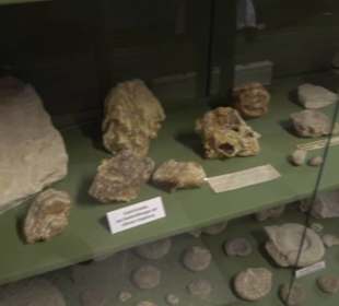 Museum Römer und Bajuwaren