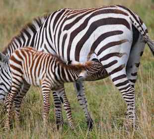 Hunger ist ein ständiger Begleiter