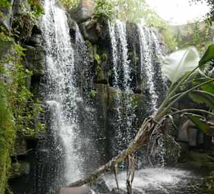 Wasserfall im Amazonasgebiet