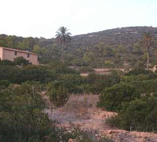Paisaje