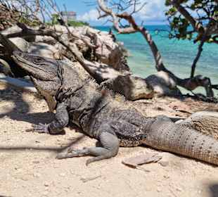 Strand Tulum