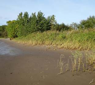 Impressionen von der Weserinsel Harriersand