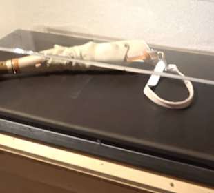 Museum Römer und Bajuwaren