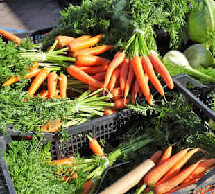 Rundgang über den Wochenmarkt Nuoro