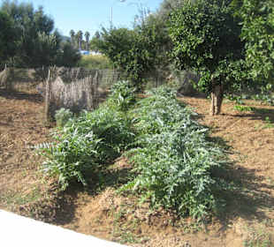 Centro de Interpretación del Río de Santa Eulària