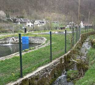 Forellenteichanlage