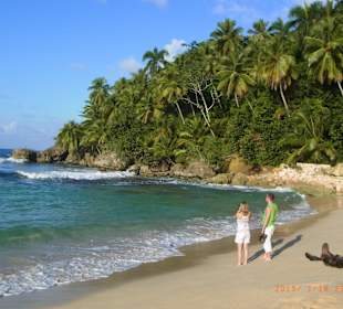 Halbinsel Samana Tour 