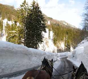 Schlittenfahrt im Allgäu