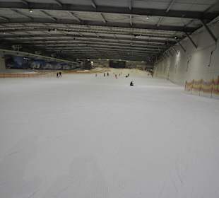 Snowdome