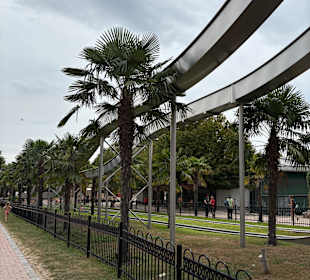 Irrland Bauernhof-Erlebnisoase