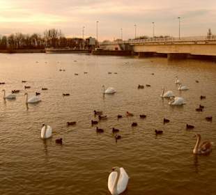 Sonnenuntergang an der Staustufe in Plattling