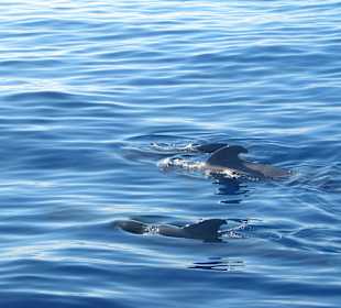 Widoki w trakcie rejsu