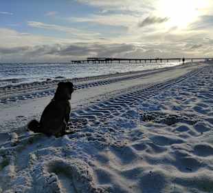 Hundestrand Heiligenhafen