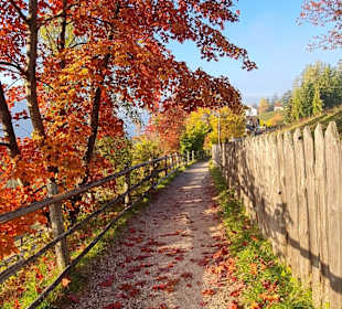 Wanderung via Alpina Bozen-Jenesien-Meran 2000