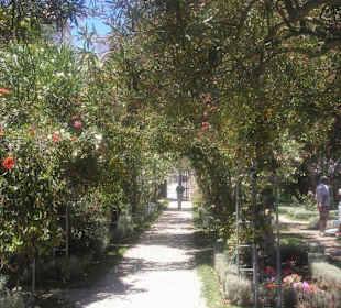 Im Innenhof der Burg