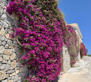 Altstadt Dalt Vila Ibiza
