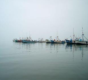 Péninsule de Paracas