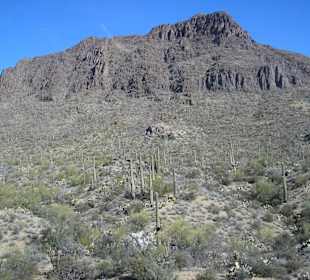 Saguaro Park