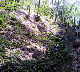 Wanderweg Sagenhafter Waldpfad Landstuhl