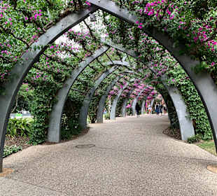 Stadtrundgang Brisbane