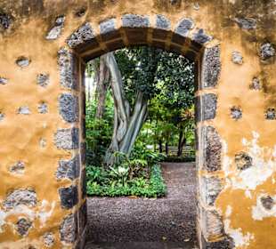 Botanischer Garten Puerto de la Cruz