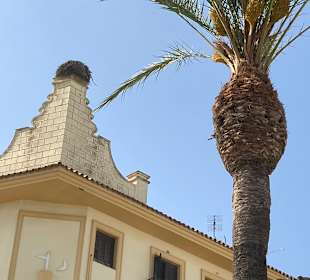 Altstadt Chiclana de la Frontera