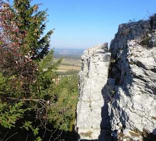 Ausblick