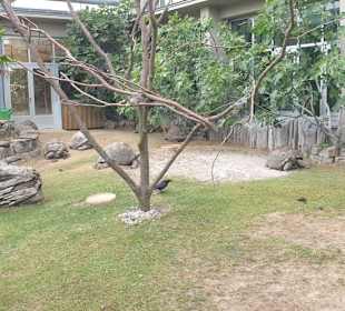 Bilder aus dem ZOO