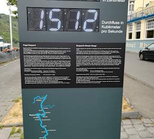 Der Rhein-Pegelstand