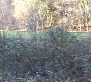 Schönbuch Schaichtal