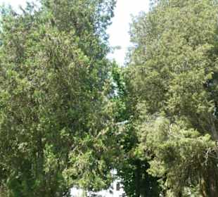 Schlosshof / Schlosspark von Schloss Schwarzenberg
