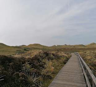 Wandern Norddorf auf Amrum