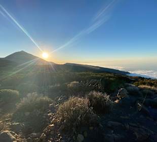 Teide und Masca Valley Tour