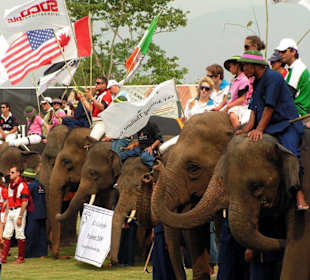 Elefanten und Flaggenparade
